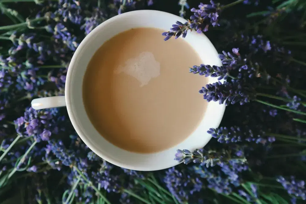 Lavender Honey Latte